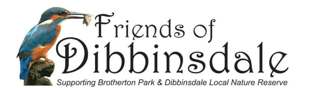 Friends of Dibbinsdale